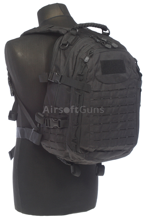 src_VYS_PACK_EGG_BK_3.jpg